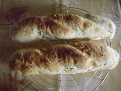 Mon levain liquide inratable (11)