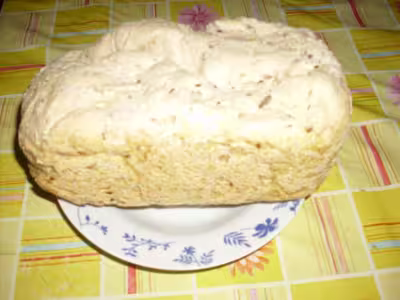 Mon levain liquide inratable (12)