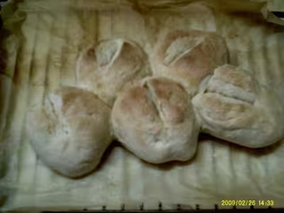 Mon levain liquide inratable (10)