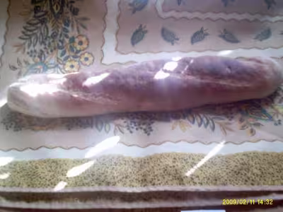 Mon levain liquide inratable (9)