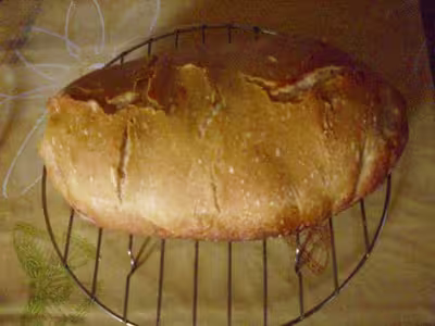 Mon levain liquide inratable (11)