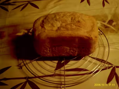 Mon levain liquide inratable (9)