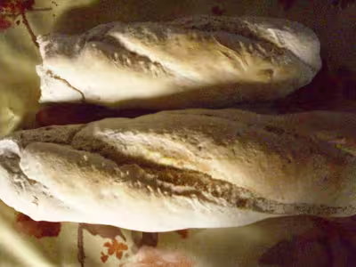 Mon levain liquide inratable (11)