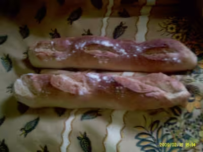 Mon levain liquide inratable (10)