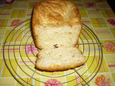 Mon levain liquide inratable (11)