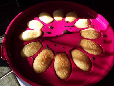 Madeleines Citronnées Express