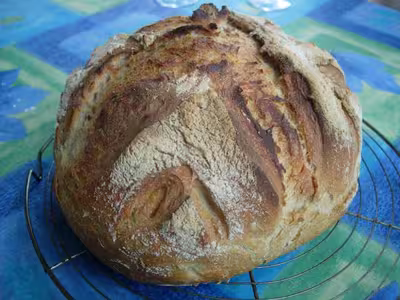Thermomix: Recettes au levain liquide