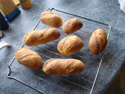 Mon levain liquide inratable (8)