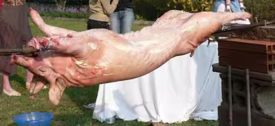 Cochon à la broche
