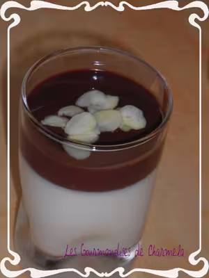 Panna cotta aux deux chocolats par choupette31