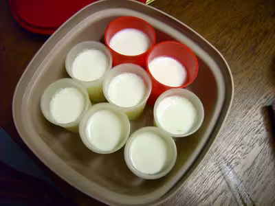 Yaourts maison sans yaourtière ni thermometre