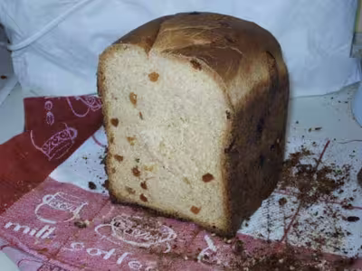 Brioche aux raisins