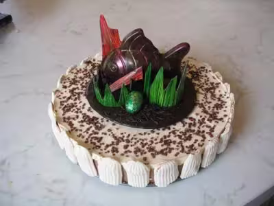 Gâteau ganache abricot et chocolat