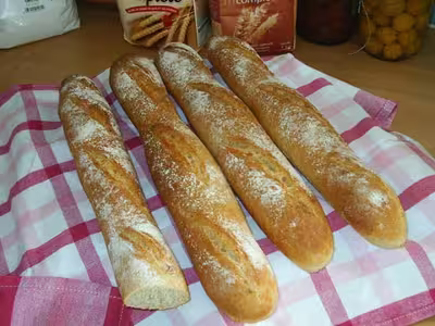Baguettes sur poolish