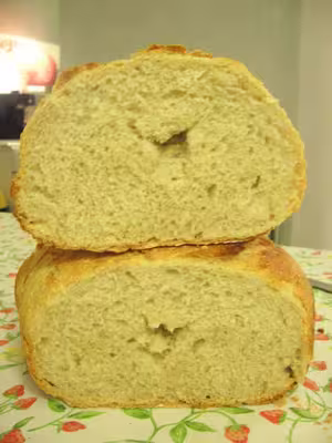 Mon levain liquide inratable (4)