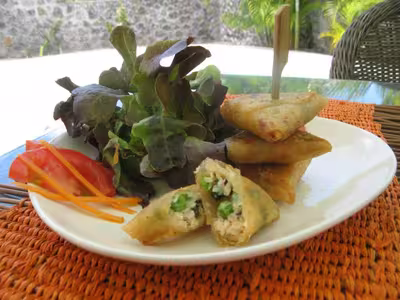 Samoussas au saumon