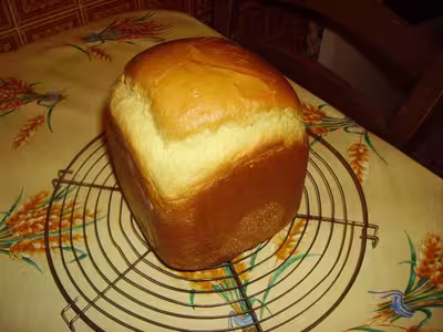 Mon levain liquide inratable (3)