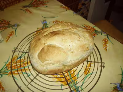 Le pain au levain naturel (2)