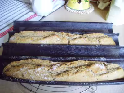 Mon levain liquide inratable (5)