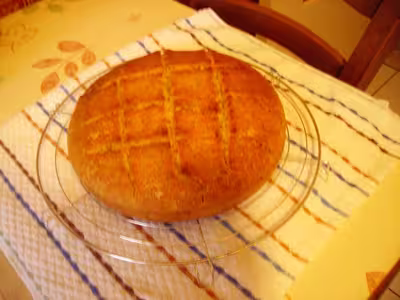 Mon levain liquide inratable (5)