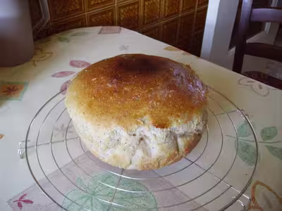 Mon levain liquide inratable (7)