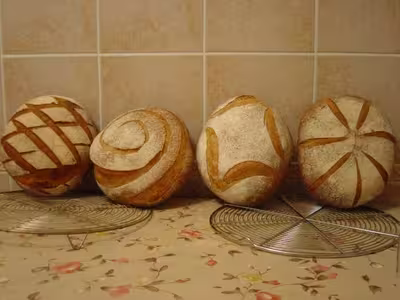 Le pain au levain naturel (1)