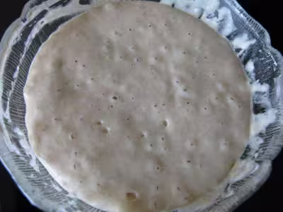 Le pain au levain naturel (2)