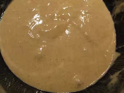 Le pain au levain naturel (2)