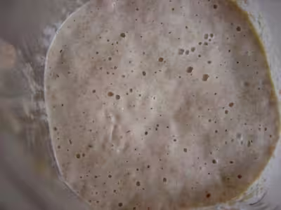 Le pain au levain naturel (2)