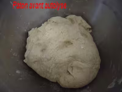 Pain de campagne au levain