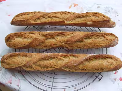 Mon levain liquide inratable (9)