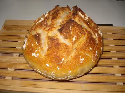 Mon levain liquide inratable (11)
