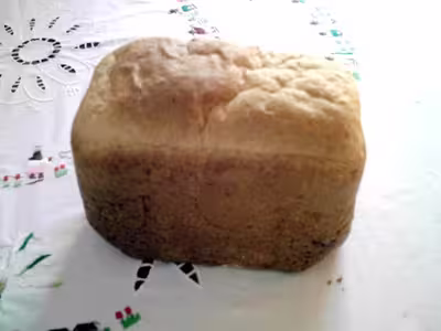 Mon levain liquide inratable (2)