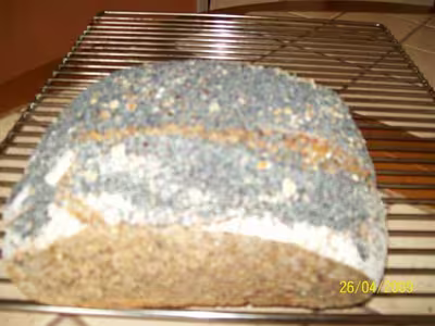 Mon levain liquide inratable (10) par mamyli2