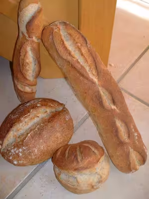 Recette du levain liquide
