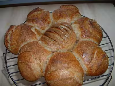 Recette du levain liquide