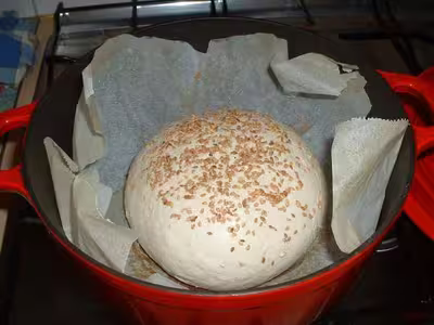 Recette du levain liquide