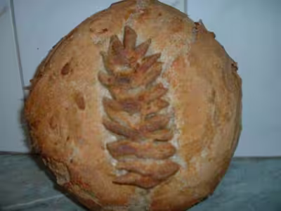 Recette du levain liquide