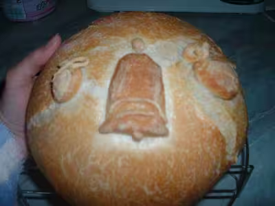 Pains, 100 recettes croustillantes. recettes testées