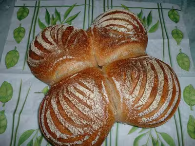 Recette du levain liquide