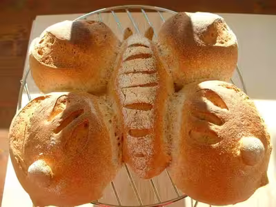 Recette du levain liquide