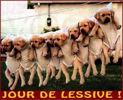 Venez voir :1 menu, 1 recette et 1 exercice sportif par jour par totoche26