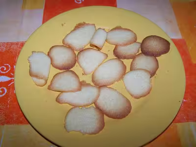 Langues de chats