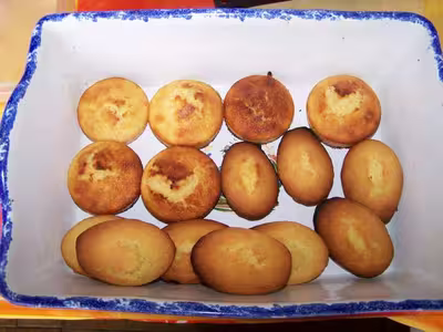 Madeleine variees