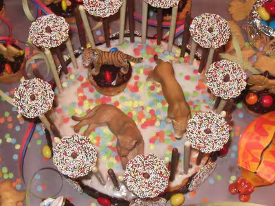 Gâteau cirque