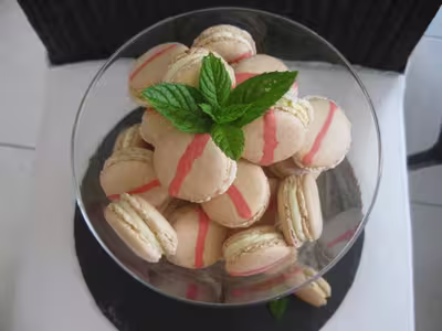 Macarons bicolores au beurre menthe poivrée