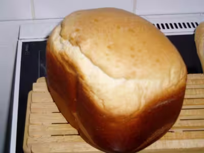 Mon levain liquide inratable (1)