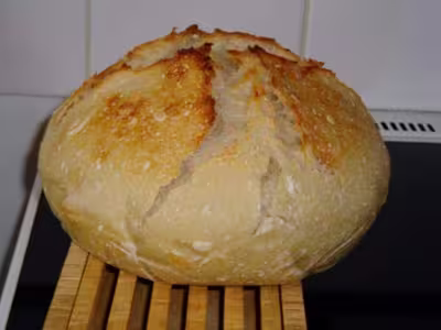 Mon levain liquide inratable (1) par Cilène
