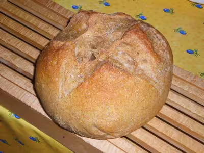 Mon levain liquide inratable (2)