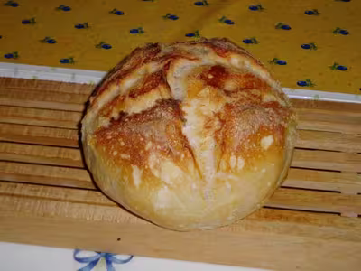 Mon levain liquide inratable (1)